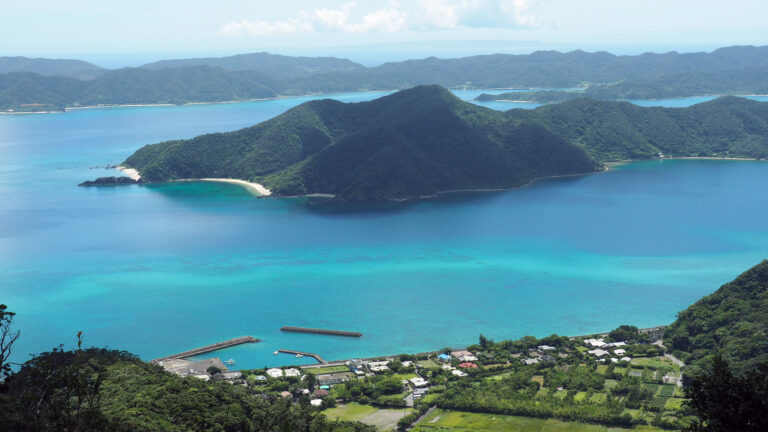 本龍郷湾